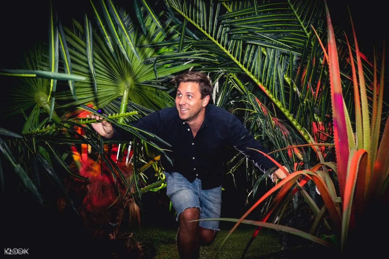 Odyssey Sensory Maze